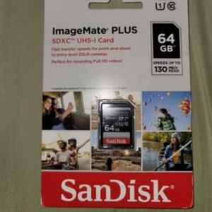 Sandick 64 gb